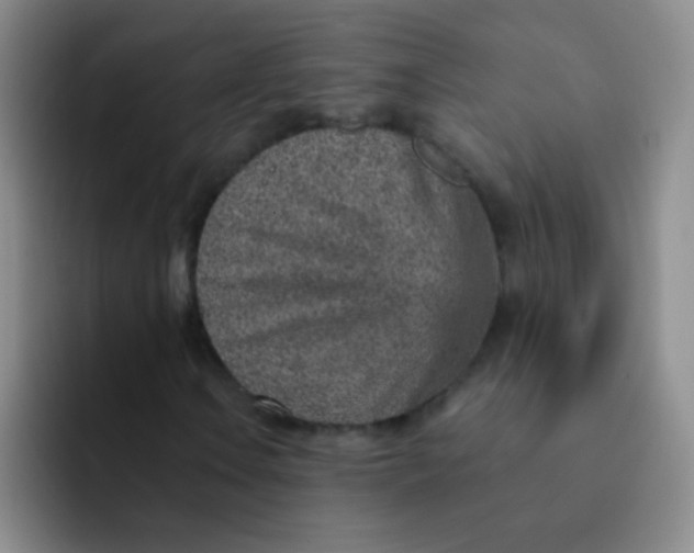 X0000092041106200709261945