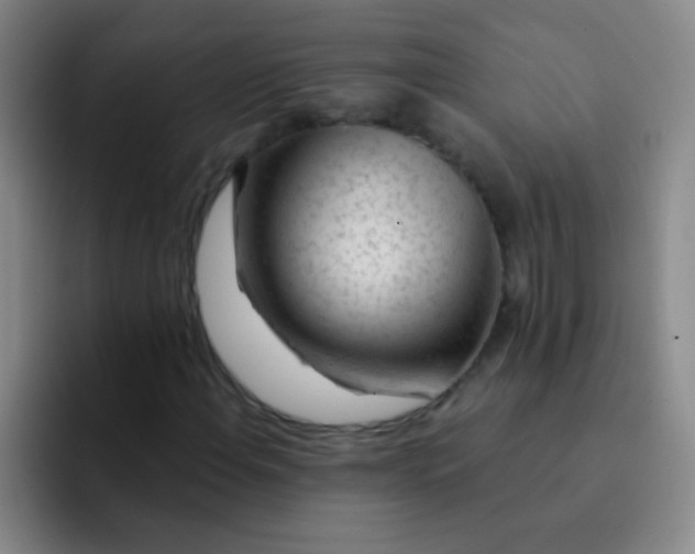 X0000092041108200709261945