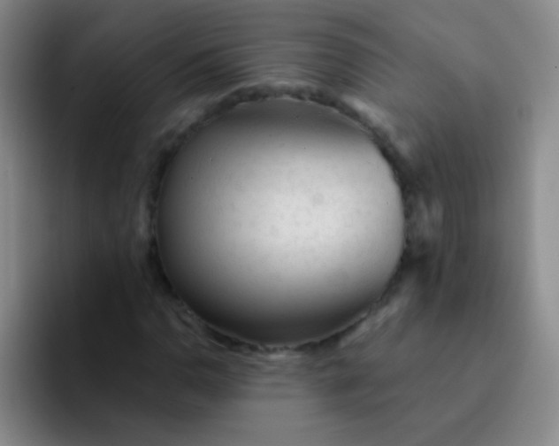 X0000092041110200709261945