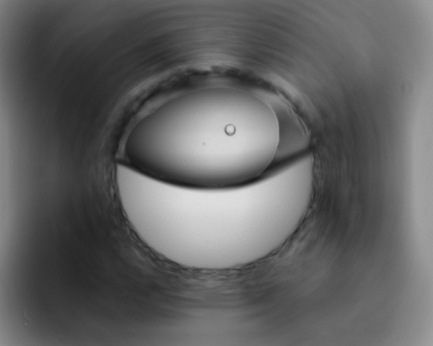 X0000092041112200709261945