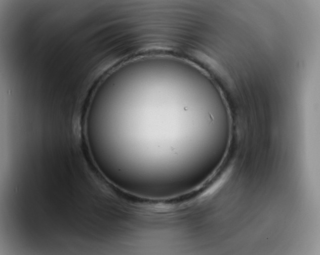 X0000092041113200709261945