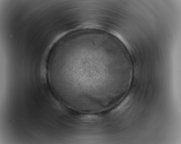 X0000092041115200709261945