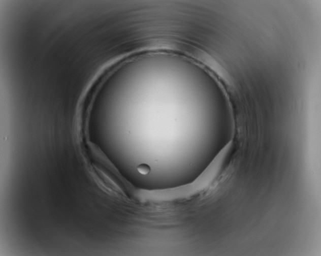 X0000092041116200709261945