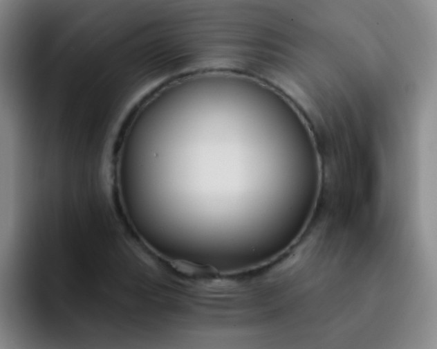 X0000092041119200709261945