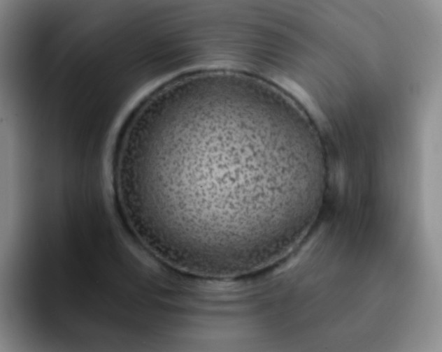 X0000092041120200709261945