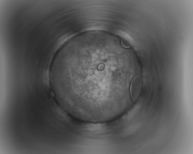 X0000092041121200709261945