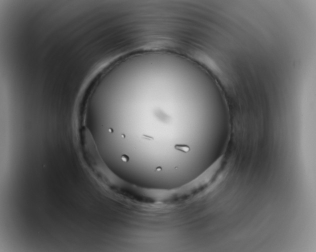 X0000092041122200709261945