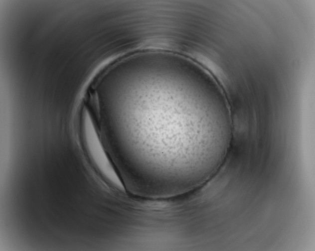 X0000092041123200709261945