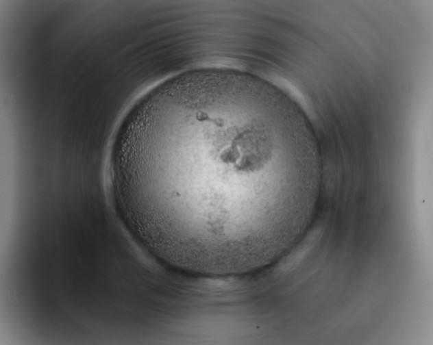 X0000092041125200709261945