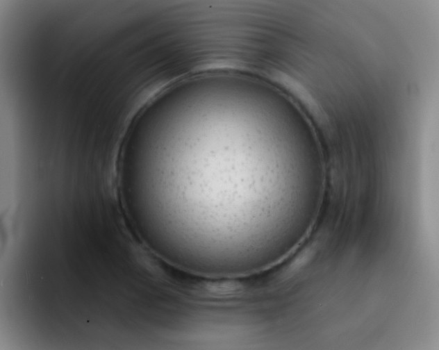 X0000092041129200709261945