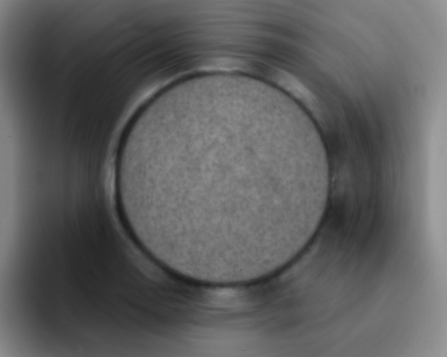 X0000092041130200709261945