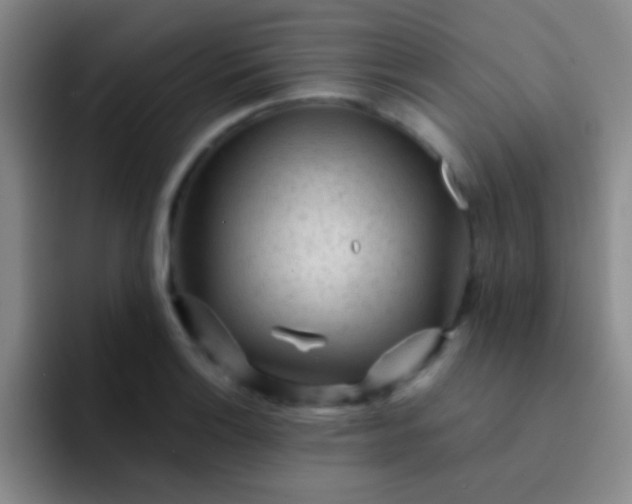 X0000092041132200709261945