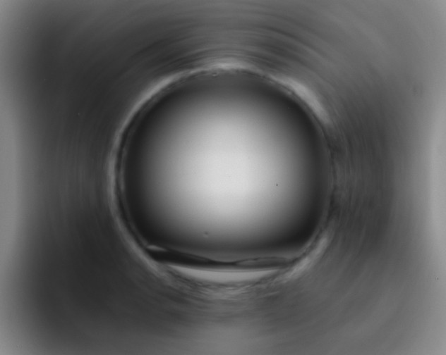 X0000092041134200709261946