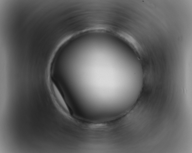 X0000092041135200709261946