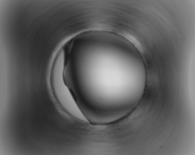 X0000092041136200709261946