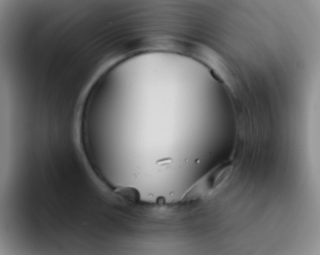 X0000092041139200709261946