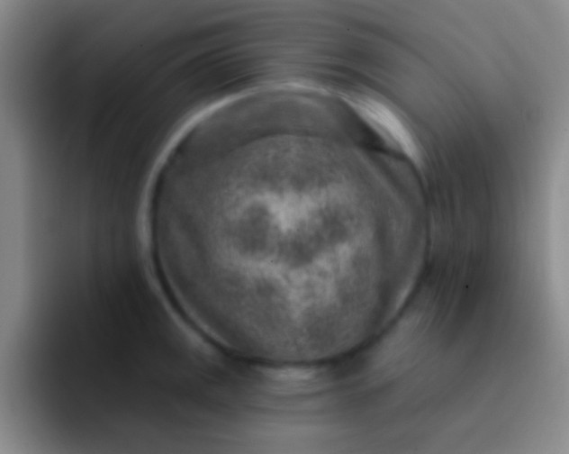 X0000092041141200709261946