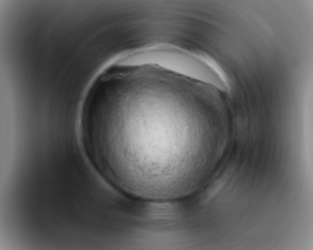 X0000092041142200709261946