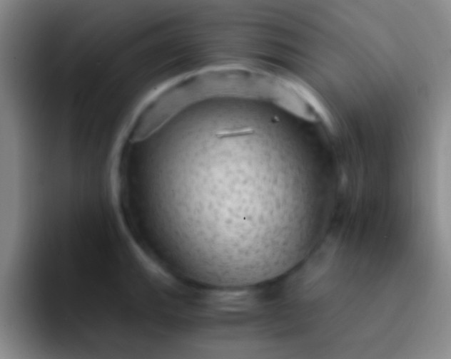 X0000092041143200709261946