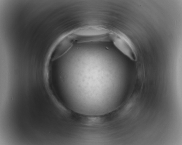 X0000092041144200709261946