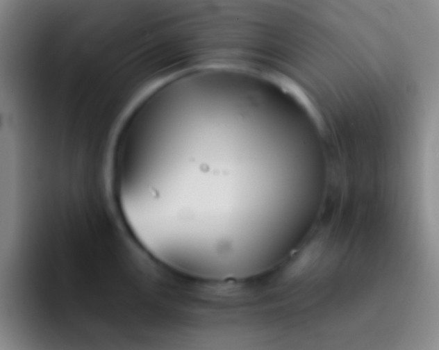 X0000092041147200709261946