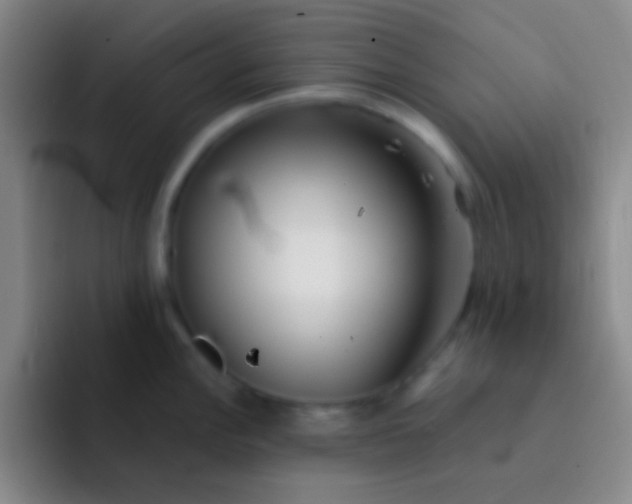 X0000092041148200709261946