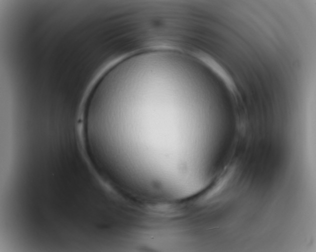 X0000092041149200709261946