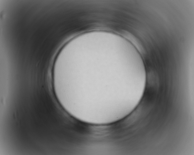 X0000092041150200709261946