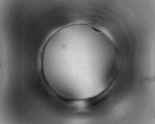 X0000092041151200709261946