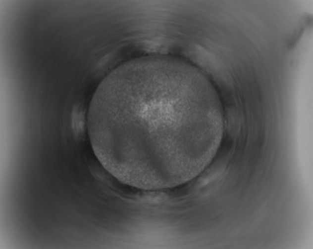 X0000092041154200709261945