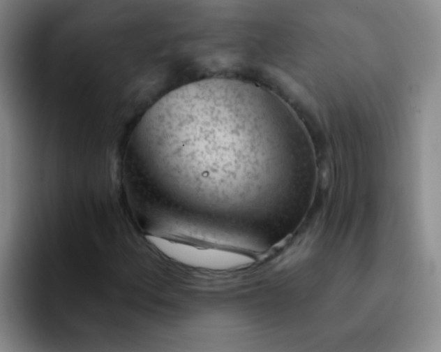 X0000092041156200709261945