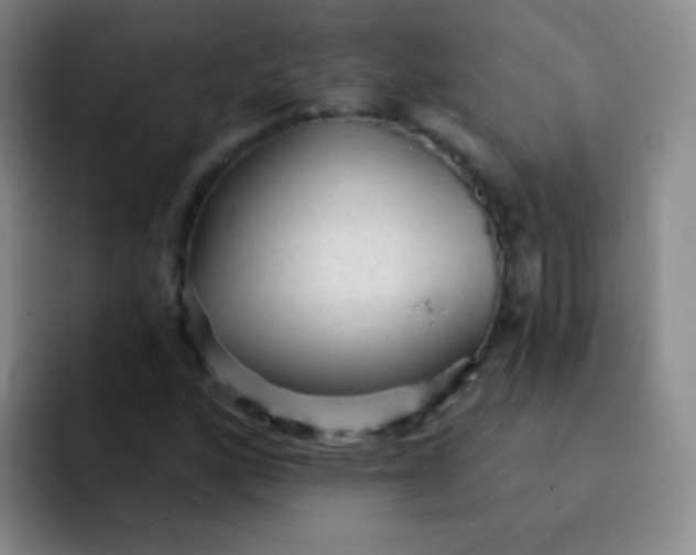 X0000092041160200709261945