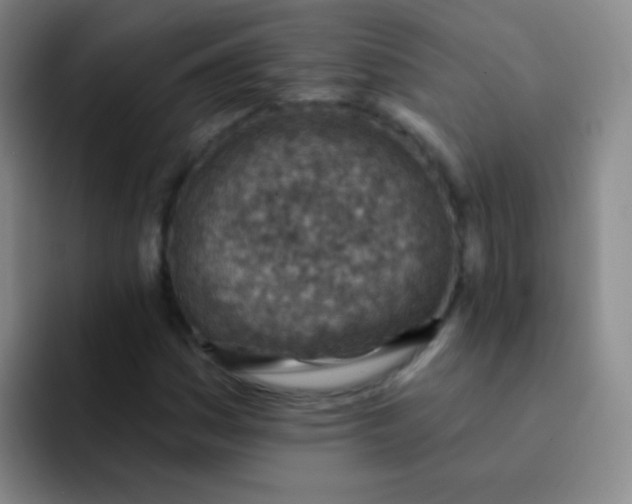 X0000092041161200709261945