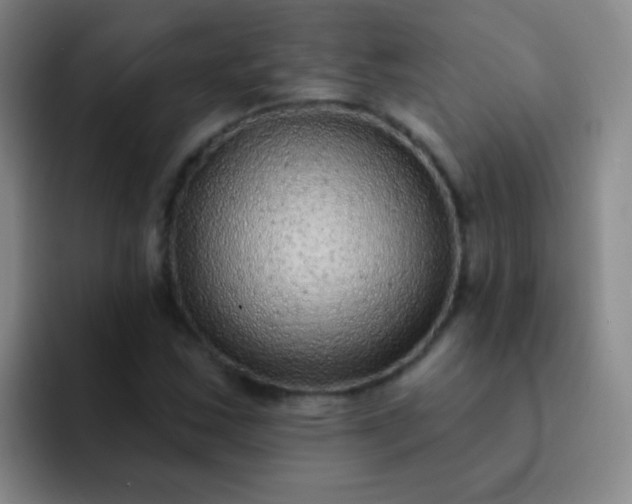 X0000092041163200709261945