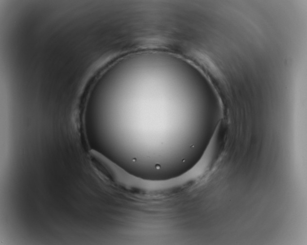 X0000092041164200709261945