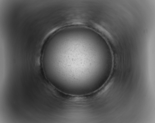 X0000092041166200709261945