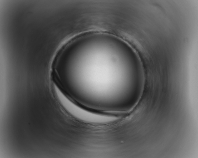 X0000092041168200709261945