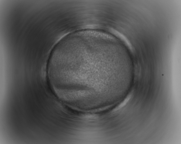 X0000092041170200709261945