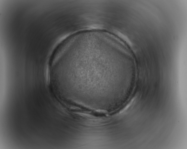 X0000092041171200709261945