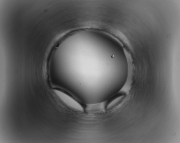 X0000092041172200709261945