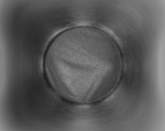 X0000092041174200709261945