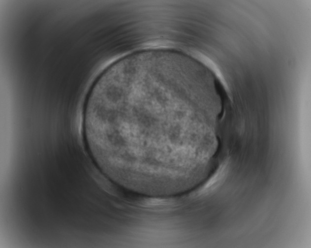 X0000092041179200709261945