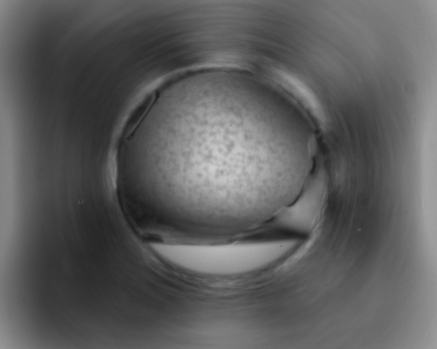 X0000092041180200709261945