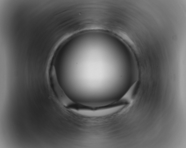 X0000092041181200709261945