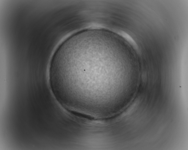 X0000092041183200709261945