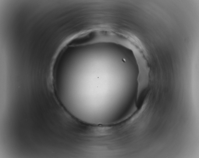 X0000092041184200709261945