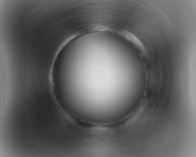 X0000092041190200709261945