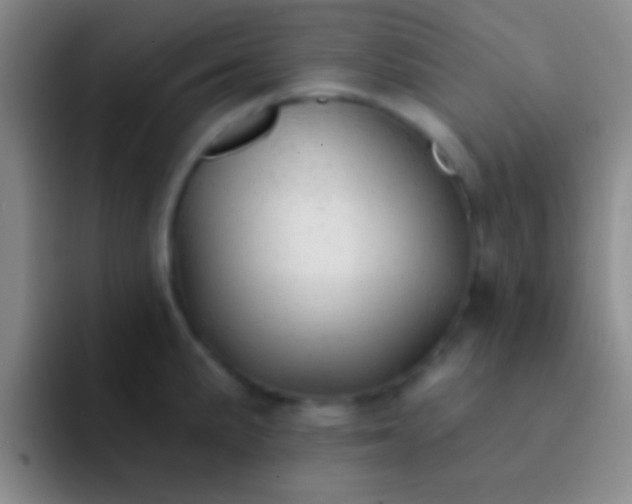 X0000092041191200709261945