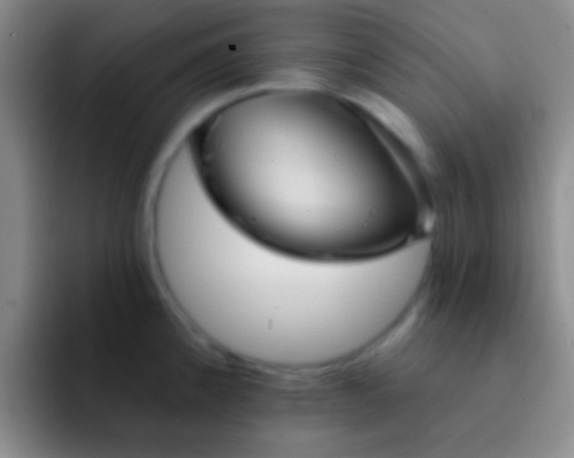 X0000092041192200709261945