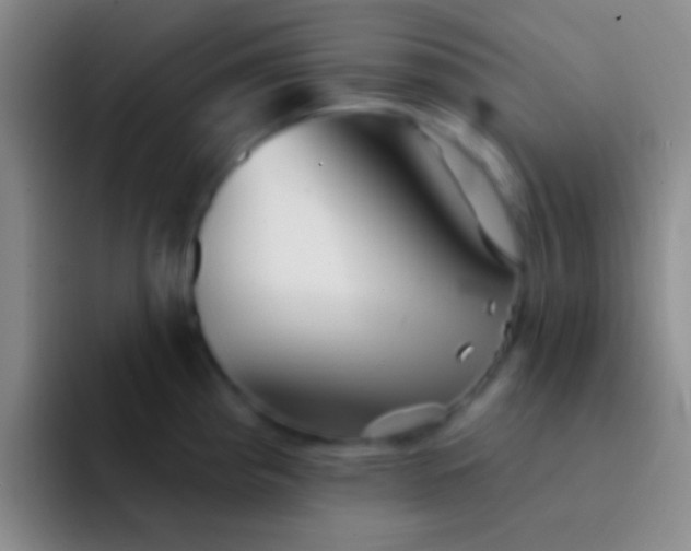 X0000092041193200709261945